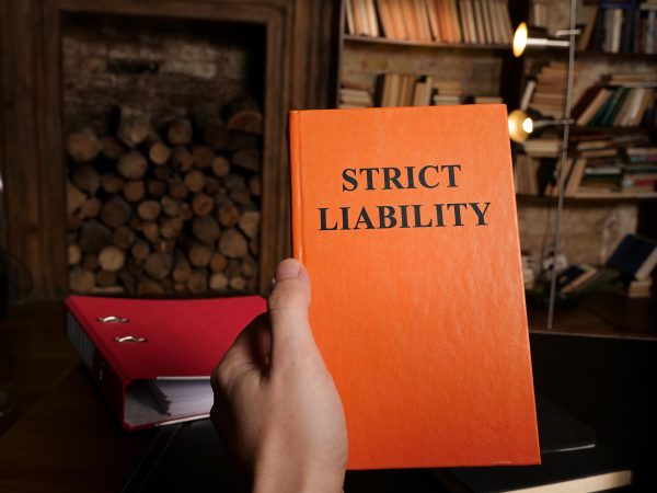 Strict Liability In Sugar Land, TX image